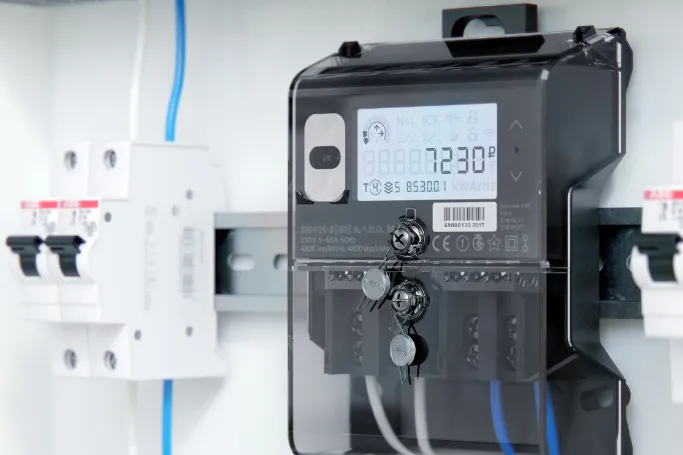 Case Study: Energy Services – Consulting