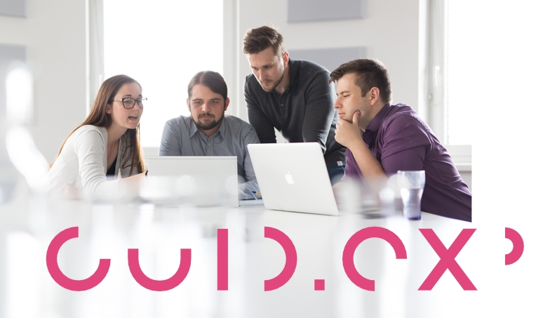 Expertenberatung in der Softwareentwicklung Guide.New GmbH Graz